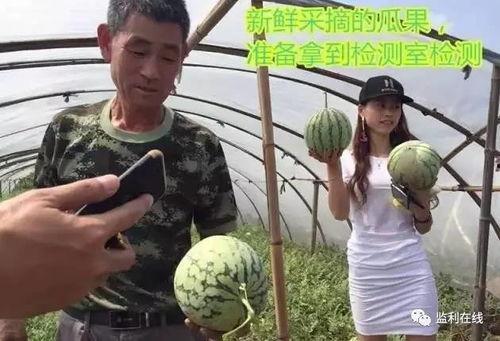 吃瓜不吐皮直播,直播界的趣味盛宴