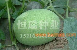 保山电信公司吃瓜,吃瓜群众眼中的幕后故事